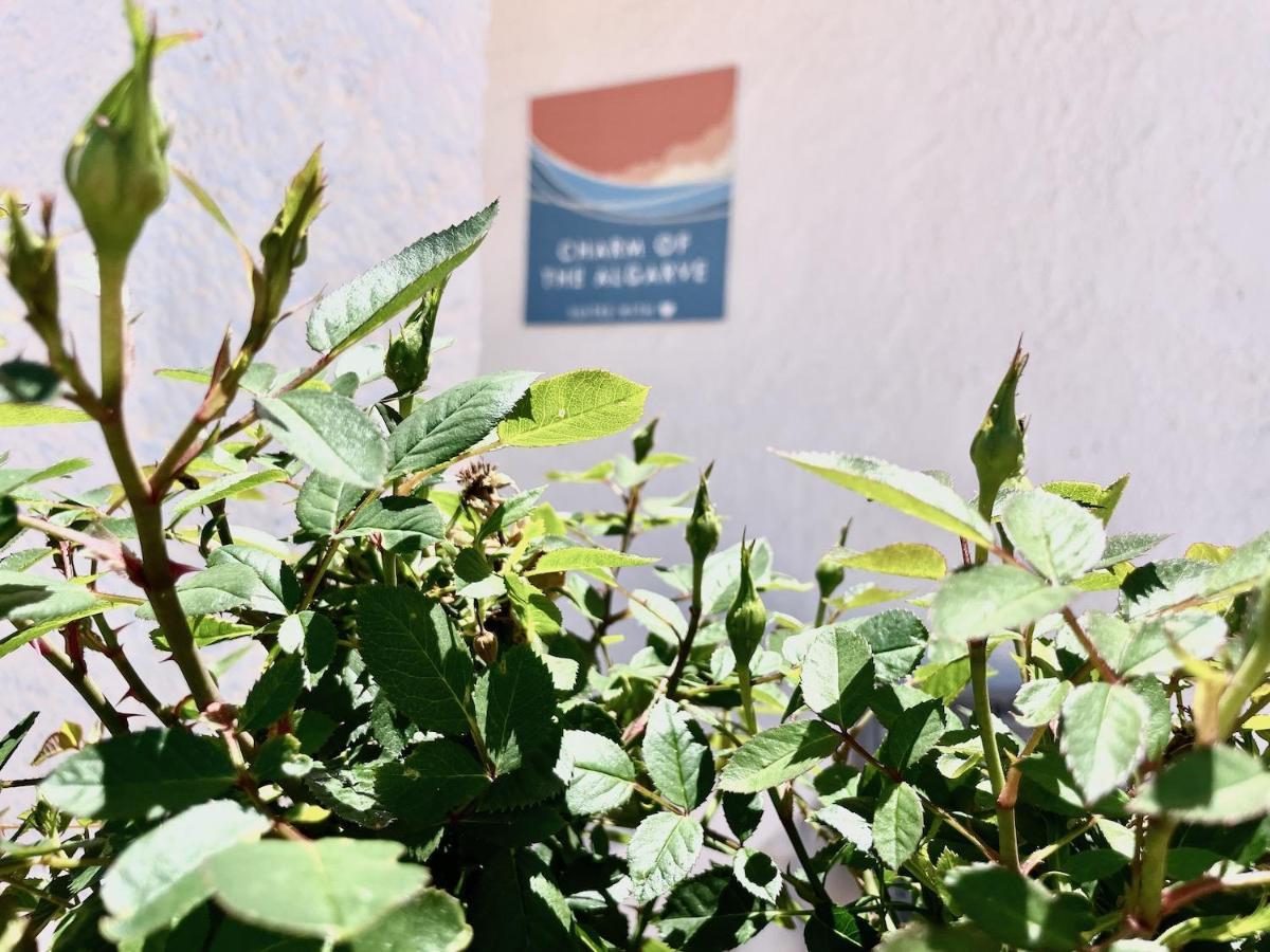 Charm Of The Algarve, Luxury Guesthouse Adults Only 奥良 外观 照片